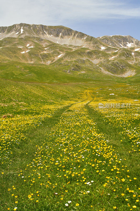 Campo Imperatore草原与乡村道路车辙和草地，意大利Abruzzi